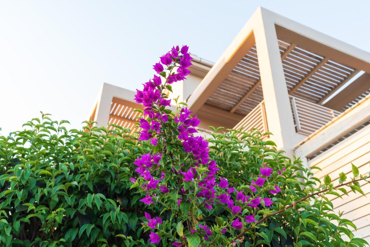 Aelia Home Suites Marathopoli Exterior foto